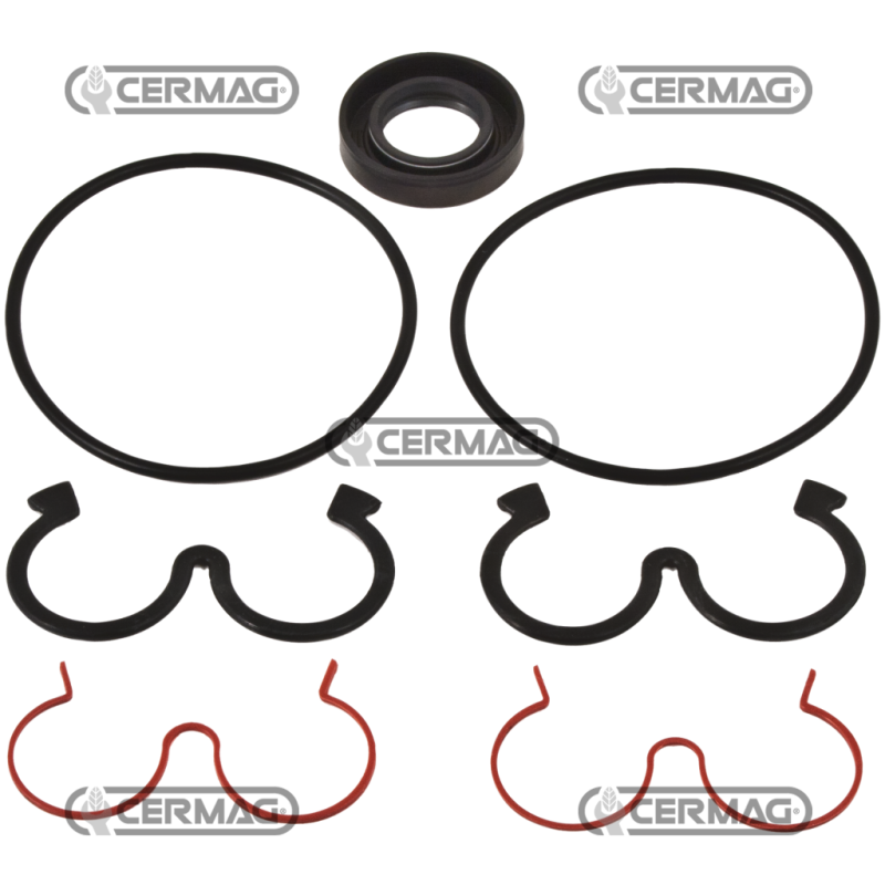 Kit de joint de pompe unique COMPATIBLE - 83419