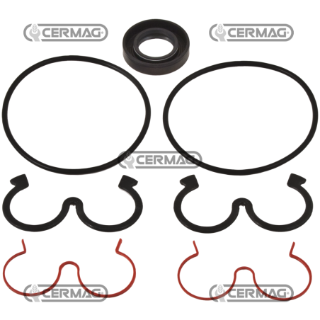 Kit guarnizioni per pompa singola COMPATIBILE - 83419 | NewgardenAgri.com