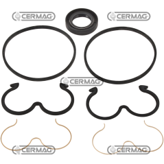 Kit de juntas para bombas COMPATIBLES GRUPO 3 - 82077 | NewgardenAgri.com
