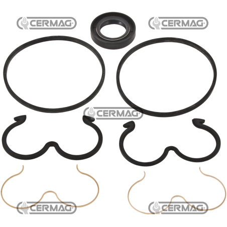 Kit guarnizioni per pompe GRUPPO 3 COMPATIBILE - 82077 | NewgardenAgri.com