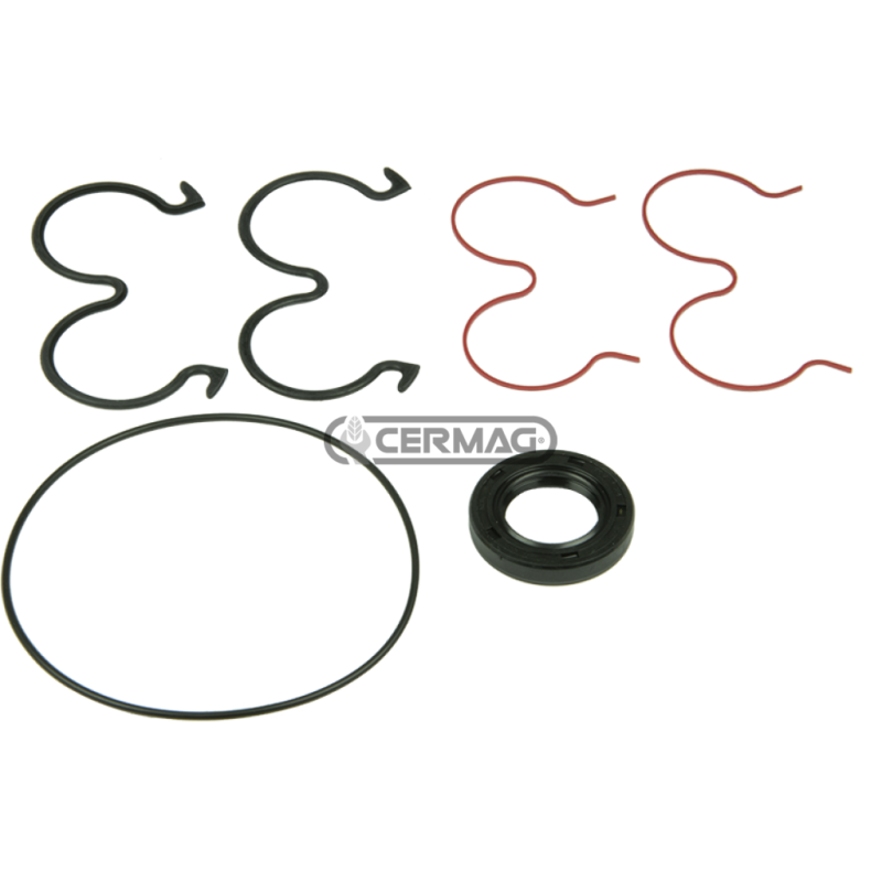 Kit de juntas para bombas COMPATIBLES KP20 - 83901