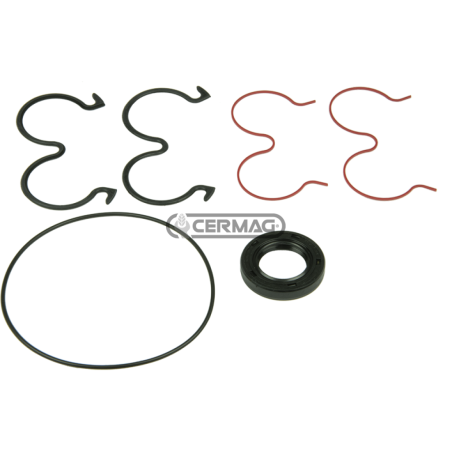 Kit de joints pour pompes COMPATIBLES KP20 - 83901 | NewgardenAgri.com
