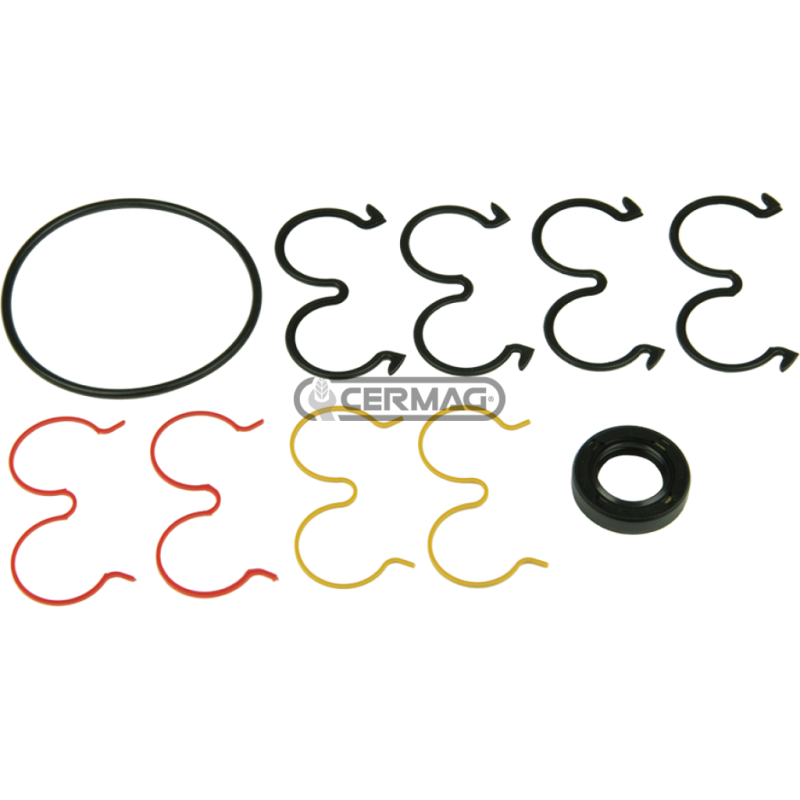Seal kit for KP30 COMPATIBLE pumps - 83902