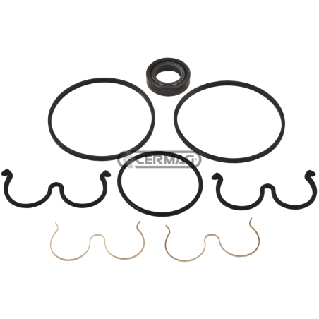 Kit de joints pour pompes COMPATIBLES PLP30 - 83798 | NewgardenAgri.com