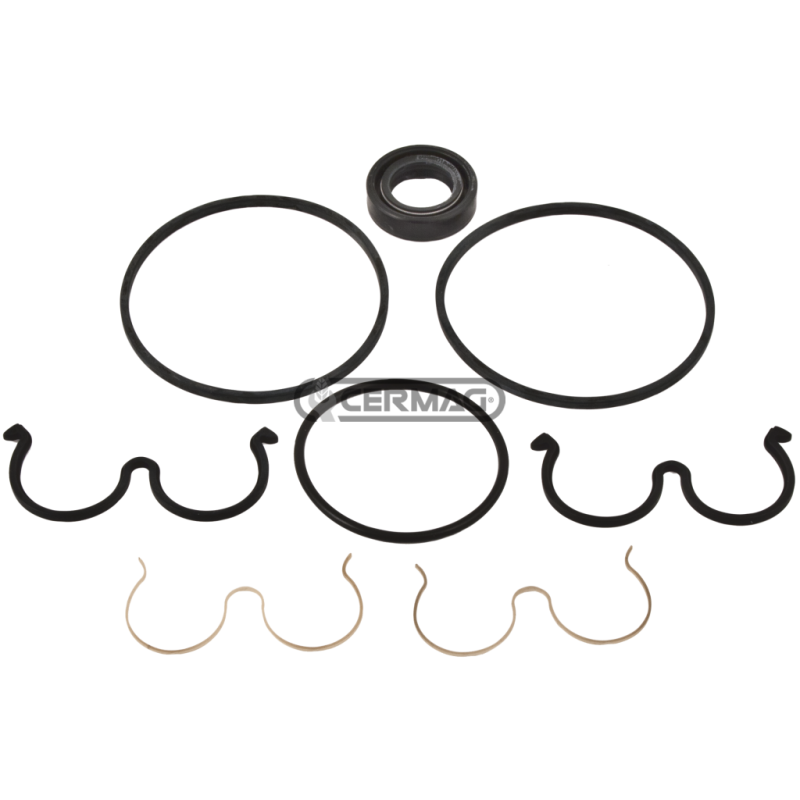 Seal kit for PLP10 COMPATIBLE pumps - 83796