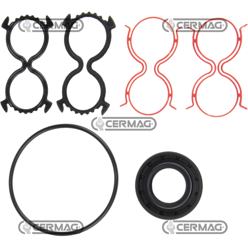Série de joints pour pompe hydraulique bidirectionnelle 83869 COMPATIBLE - 83911