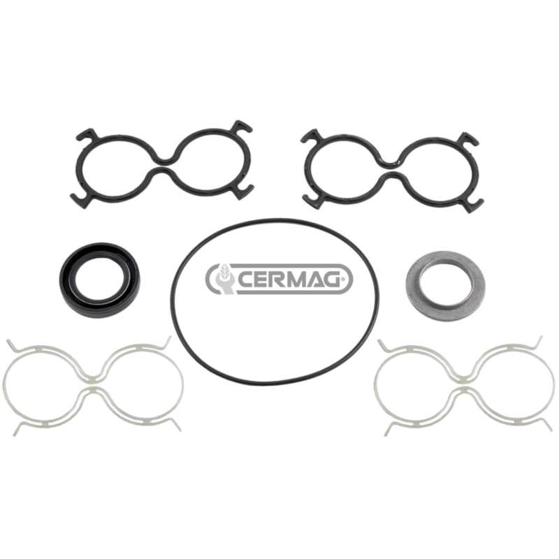 Serie guarnizioni per pompe oleodinamiche tipo vecchio 80638-80639 COMPATIBILE - 83005