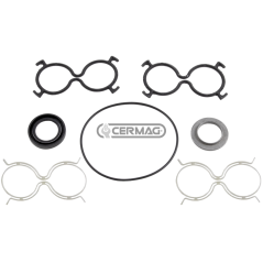 Serie guarnizioni per pompe oleodinamiche tipo vecchio 81681-81685 COMPATIBILE - 83010 | NewgardenAgri.com