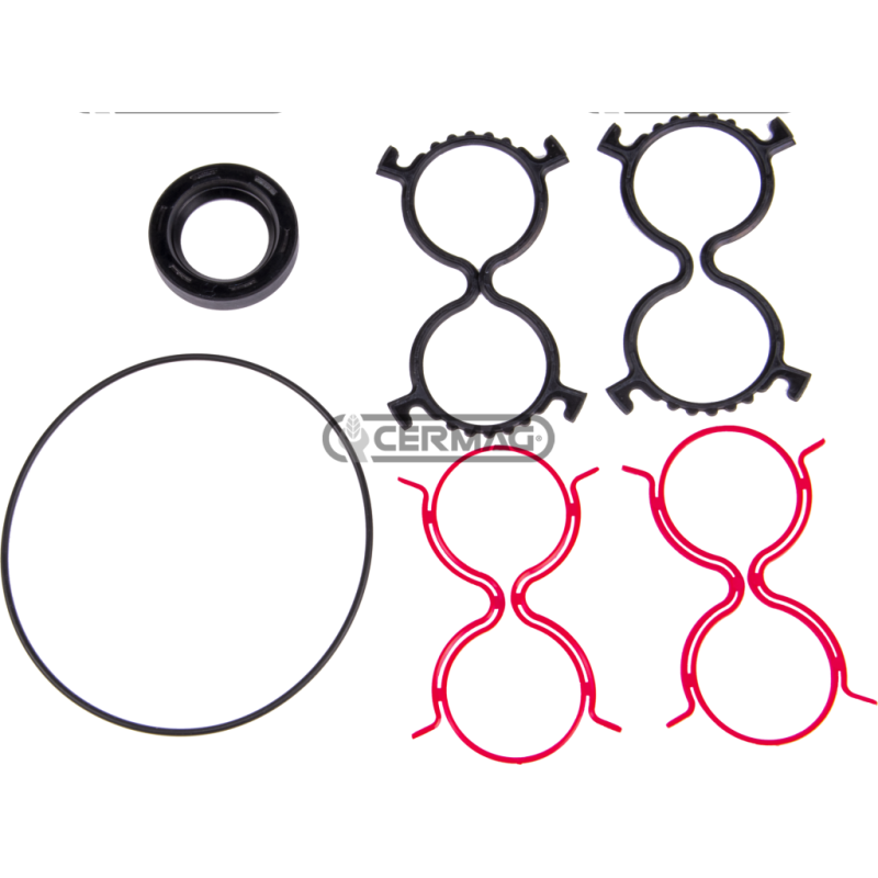 Series of seals for two-way hydraulic pumps COMPATIBLE - 83912
