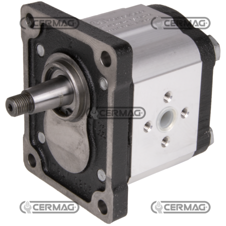 Bidirectional gear motor GROUP 2 Displacement 8.5 cc COMPATIBLE - 82162 | NewgardenAgri.com