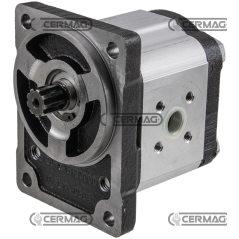 Moteur réversible GROUPE 2 pour pompes auto-amorçantes Cylindrée 9 cc Drainage externe COMPATIBLE - 83055 | NewgardenAgri.com