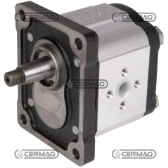 Bidirectional gear motor GROUP 2 Displacement 17 cc COMPATIBLE - 82165 | NewgardenAgri.com