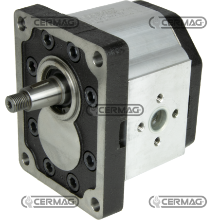 Bidirectional gear motor GROUP 3 Displacement 51 cc COMPATIBLE - 82192 | NewgardenAgri.com