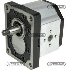 Bidirectional gear motor GROUP 3 Displacement 61 cc COMPATIBLE - 82193 | NewgardenAgri.com