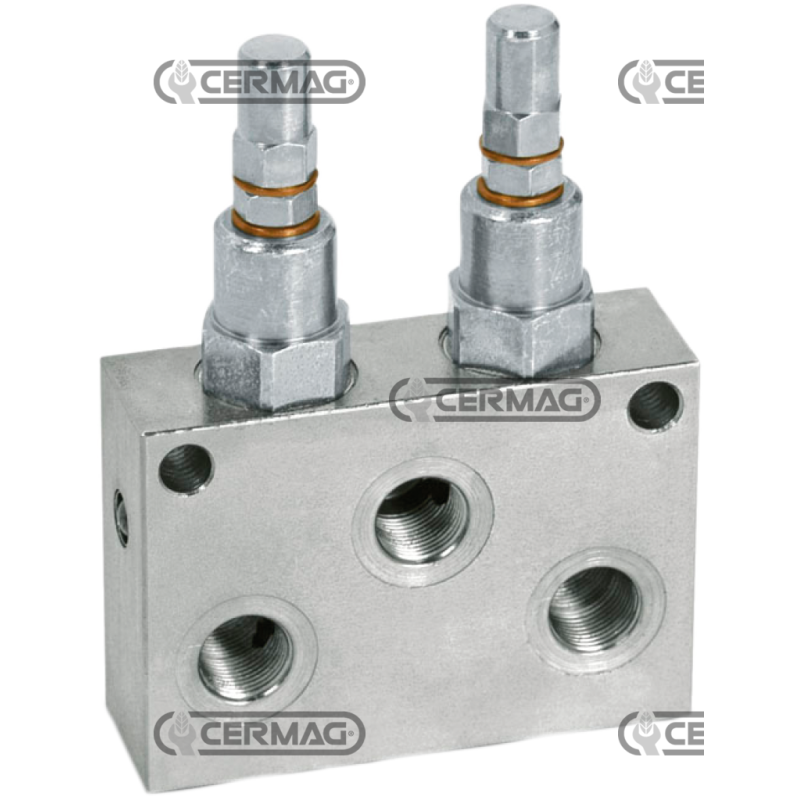 Doppeltes Druckbegrenzungsventil Maximale Durchflussrate 70 l/min 1/2" GAS-KOMPATIBLE Anschlüsse - 83385