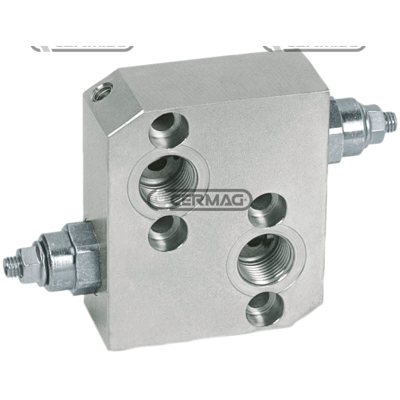 Anti-Schock-Ventil für OMP/OMR-OMS-Orbitalmotoren Durchflussrate 50 l/min Anschlüsse 1/2" GAS KOMPATIBEL - 82222