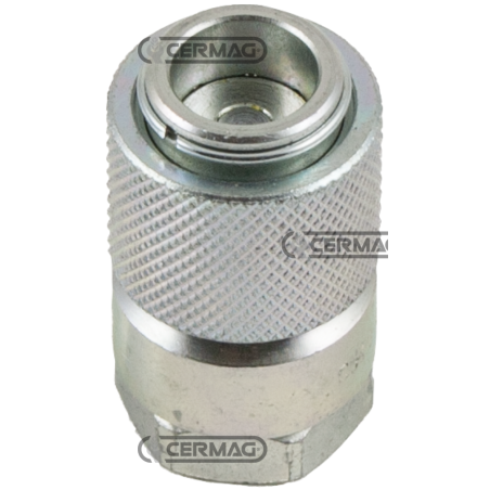 Acoplamiento rápido HEMBRA para diagnóstico Serie DF Acoplamiento 1/4" COMPATIBLE - 82796 | NewgardenAgri.com