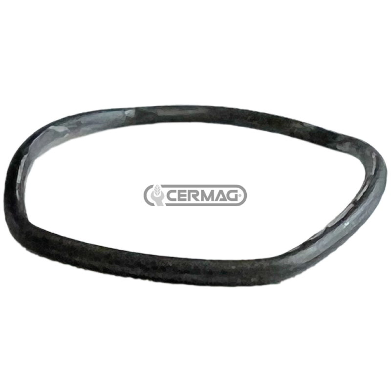 O-ring per TARV COMPATIBILE - 84310