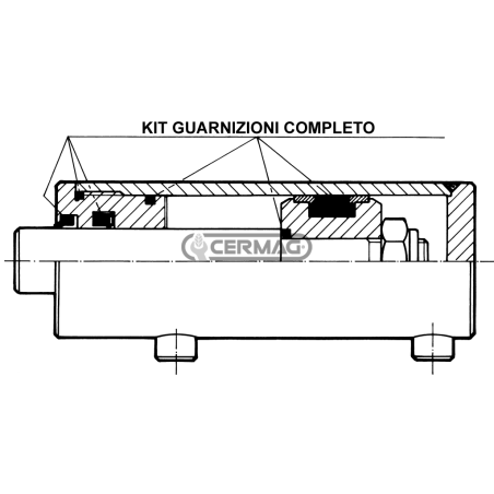 Kit de juntas para cilindro de doble efecto Calibre 90 mm Diámetro vástago 50 mm COMPATIBLE - 83000 | NewgardenAgri.com