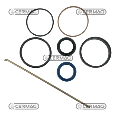 Kit de joints de cylindre de direction COMPATIBLE - 1609086M91C | NewgardenAgri.com