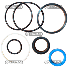 COMPATIBLE 4WD steering cylinder seal kit - 3484327M92C | NewgardenAgri.com