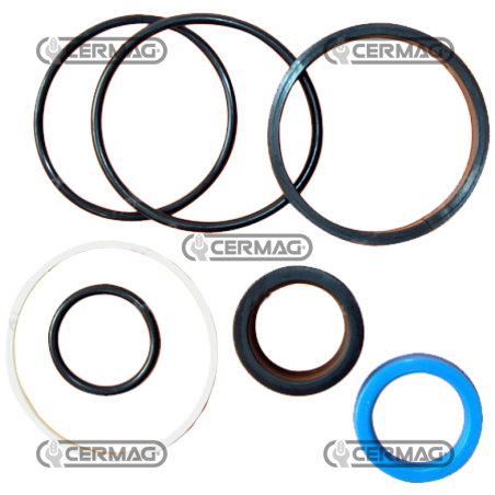 COMPATIBLE 4WD steering cylinder seal kit - 3484327M92C | NewgardenAgri.com
