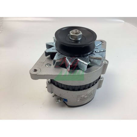 Générateur de courant ORIGINAL BLUEBIRD FM 23-53 5040900040000 | NewgardenAgri.com