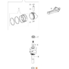 ORIGINAL EMAK WASHER L66150424 | NewgardenAgri.com