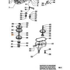 ANELLO ORIGINALE EMAK 3024025 | NewgardenAgri.com