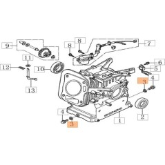 ORIGINAL EMAK WASHER L66152094 | NewgardenAgri.com