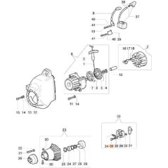 VIS EMAK ORIGINALE 3806035R | NewgardenAgri.com