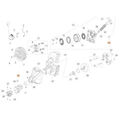 ORIGINAL EMAK SCREW 3891048R | NewgardenAgri.com