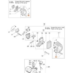 ORIGINAL EMAK SCREW 3908036R | NewgardenAgri.com
