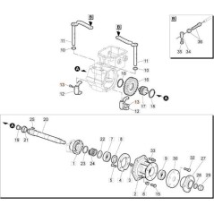 VIS TE BRIDE.ZIGR. 8,8 M 6X20 DIN 6921 ZNB (C:2) ORIGINAL EMAK 3906037R | NewgardenAgri.com