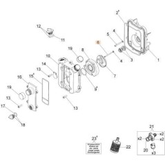 TORNILLO EMAK ORIGINAL 3901037R | NewgardenAgri.com