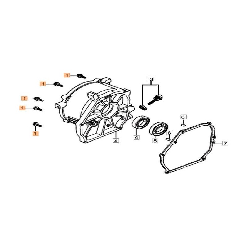 VITE ORIGINALE EMAK L66152104