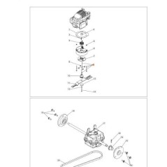 ORIGINAL SCREW EMAK PB0300010824R | NewgardenAgri.com