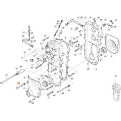 TORNILLO EMAK ORIGINAL 3906130 | NewgardenAgri.com