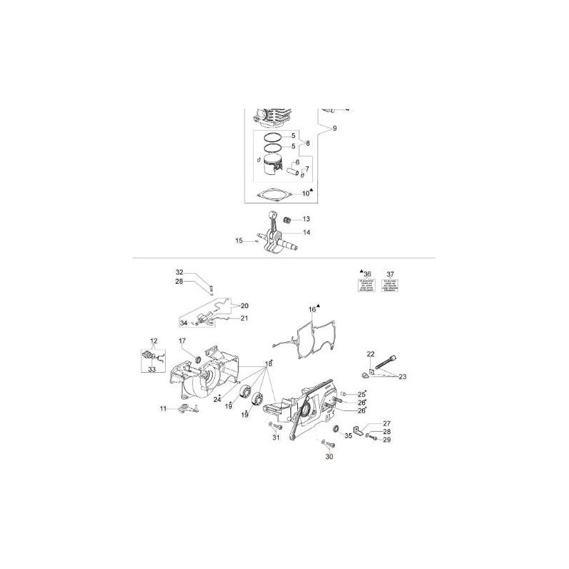 TORNILLO ORIGINAL EMAK 005100988BR