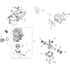 SEGMENTO ORIGINALE EMAK 50230107R | NewgardenAgri.com
