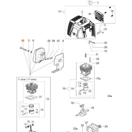 ORIGINAL EMAK SCREW 3801069R | NewgardenAgri.com
