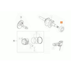 BALL BEARING 20X47X14 6204 ORIGINAL EMAK L66151806 | NewgardenAgri.com