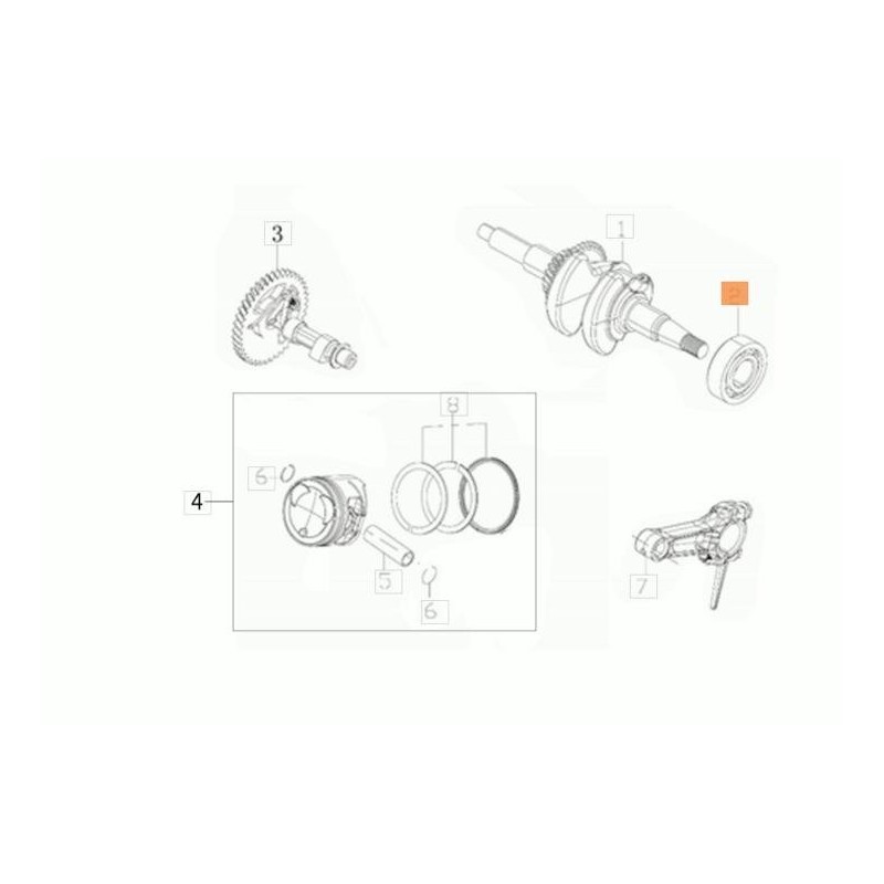 CUSCIN.A SFERE 20X47X14 6204 ORIGINALE EMAK L66151806