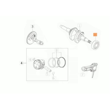 BALL BEARING 20X47X14 6204 ORIGINAL EMAK L66151806 | NewgardenAgri.com