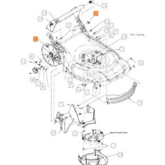 ORIGINAL EMAK NUT C7120397A | NewgardenAgri.com