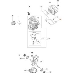 ORIGINAL EMAK PROTECTION 50240046R | NewgardenAgri.com
