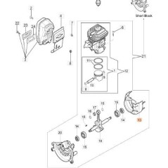 CONVOYEUR EMAK ORIGINAL 56550126R | NewgardenAgri.com