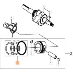 ORIGINAL EMAK SEGMENT KIT L66151620 | NewgardenAgri.com