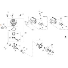 COLLETTORE ORIGINALE EMAK 50250020R | NewgardenAgri.com