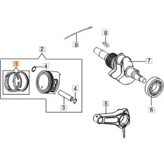 ORIGINAL SEGMENT KIT EMAK L66150592 | NewgardenAgri.com